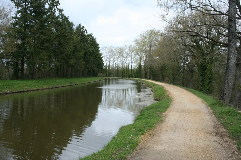 VTT Base départementale secteur Vioreau - N°3 - Les Arcades — Notre-Dame-des-Langueurs