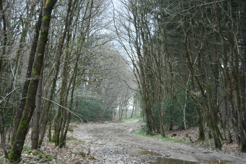 VTT Base départementale secteur Vioreau - N°6 - Noir - Vallée de l'Erdre — Riaillé