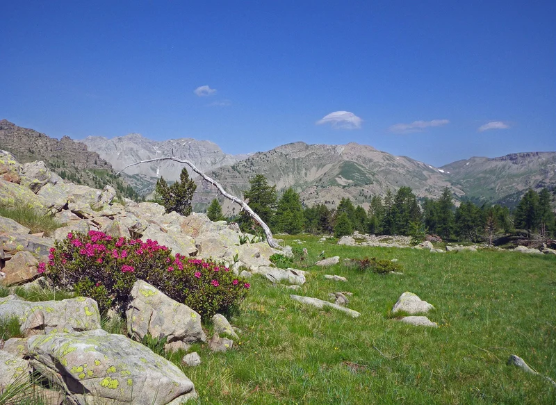 Randonnée Petit circuit du vallon de Gorgias — Entraunes