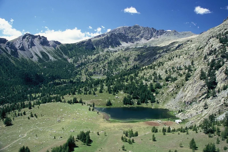Randonnée Le lac des Grenouilles, entre forêt et alpage — Tende
