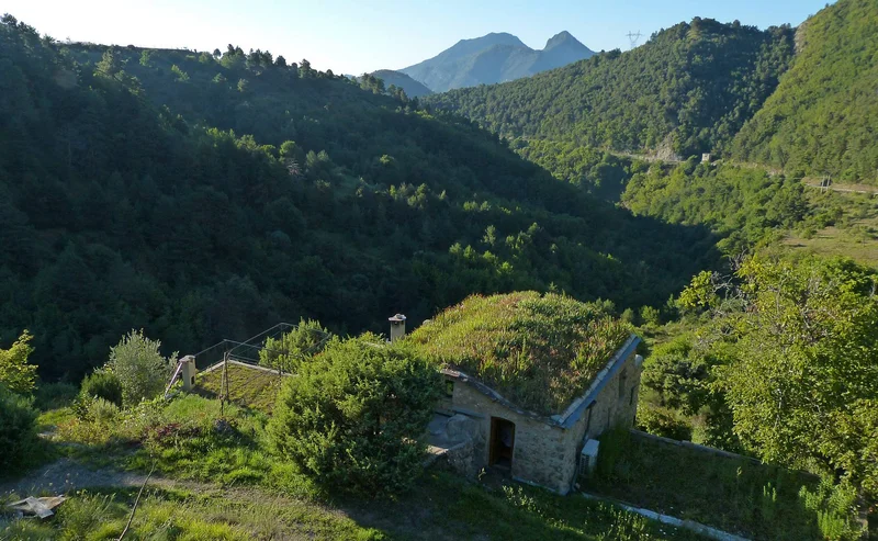 Randonnée Randonnée dans les forêts de la Baisse de Levens — Breil-sur-Roya
