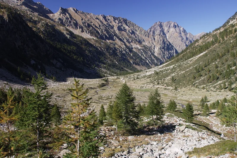 Randonnée Le Refuge Regina Elena · Valdieri