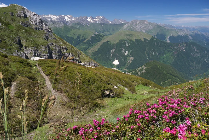 Randonnée Le Col Vaccarile · Limone Piemonte