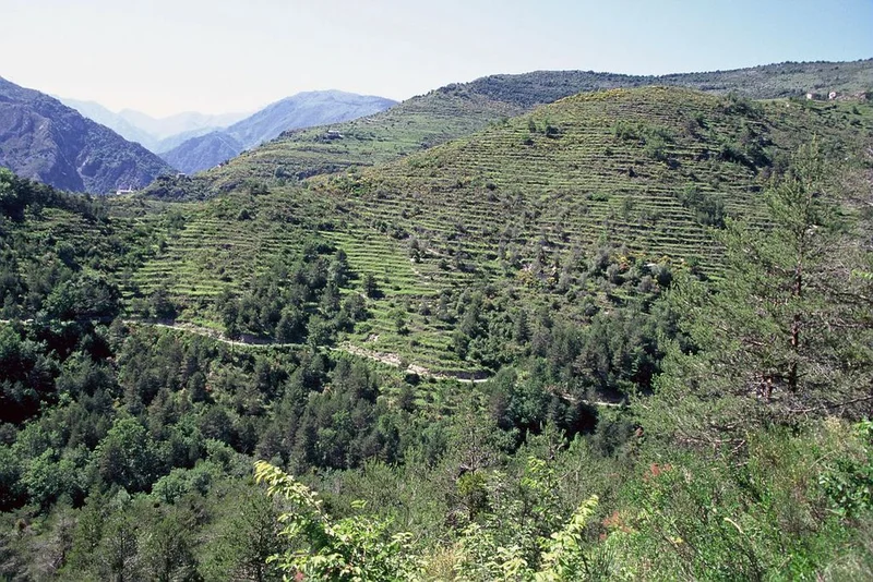 Randonnée Sur l'Alta Via Ligure - La boucle du Mont Torrage — Saorge