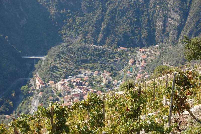 Randonnée Les plus beaux villages Ligures - Traversée de Airole à Dolceaqua · Airole