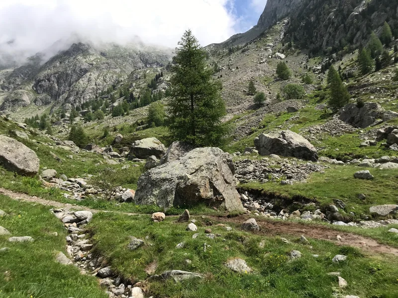 Randonnée Balade sur les traces de Belle et Sébastien — Belvédère