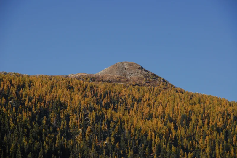 Randonnée La Cime de Piagu par le Refuge de la Maïris — Saint-Martin-Vésubie