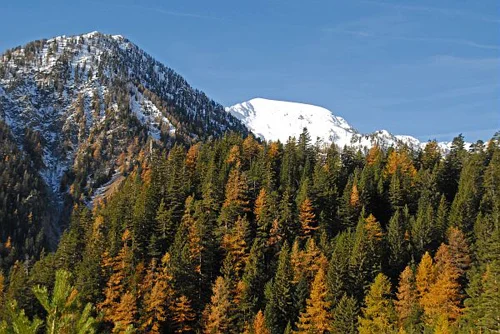 Randonnée Sur le plateau des Adus — Saint-Martin-Vésubie
