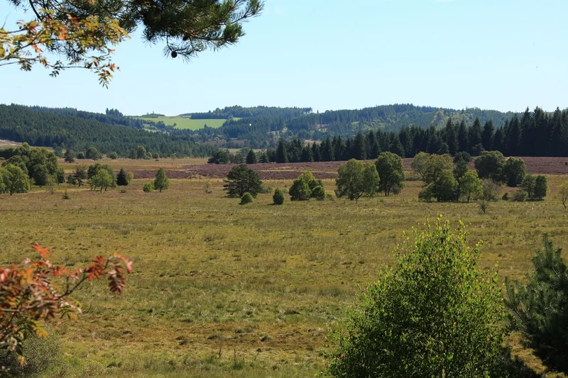 Randonnée Du site des Cars au Longeyroux — Saint-Merd-les-Oussines