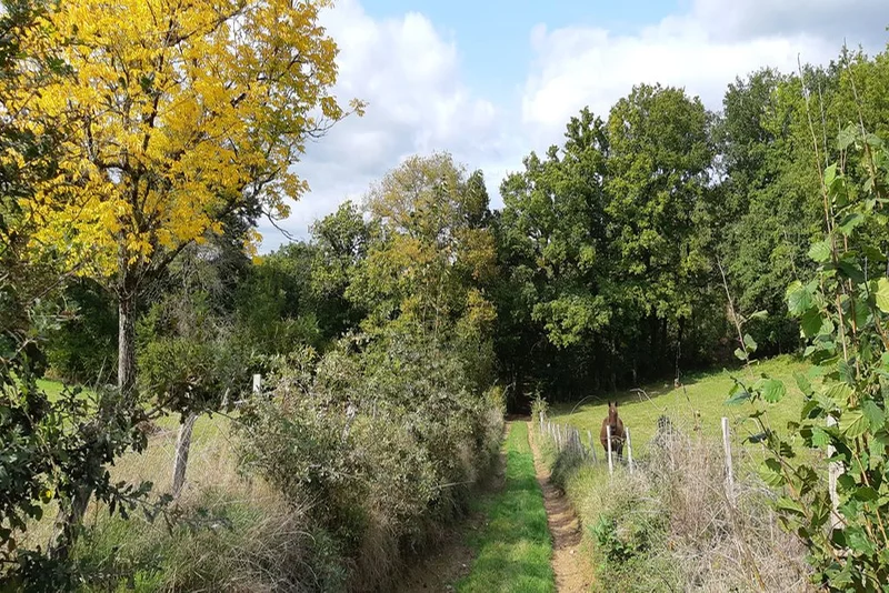 Randonnée Circuit du P.O.C au dolmen · Espartignac
