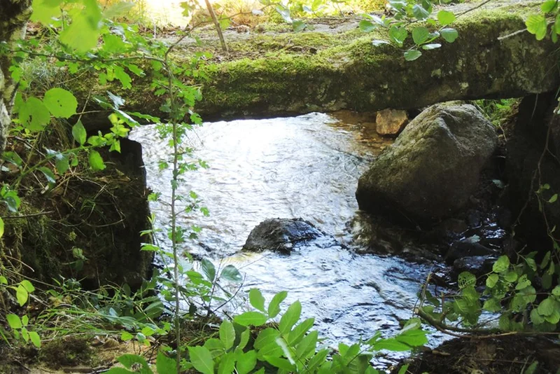 Randonnée La trace des canards — Saint-Quentin-la-Chabanne