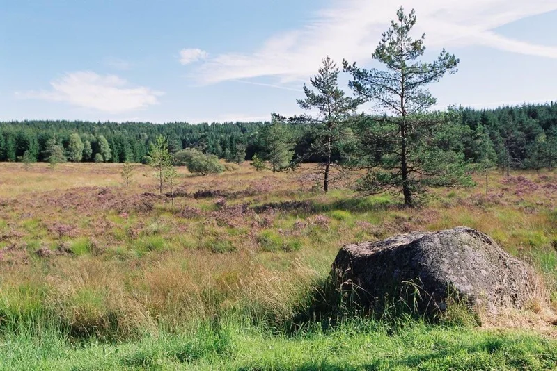 Randonnée Sentier de Millevaches au Longeyroux · Millevaches