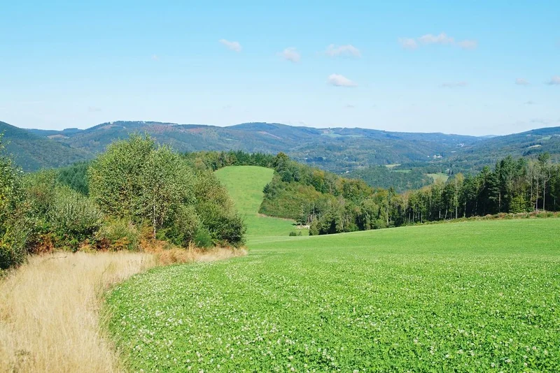 Randonnée Le Puy Bezin — Saint-Yrieix-le-Déjalat