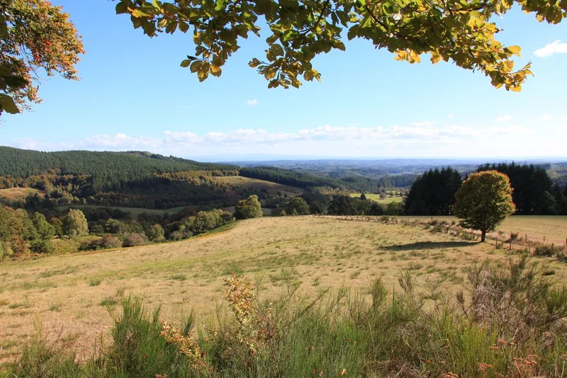 Randonnée Le Toit du Limousin — Meymac