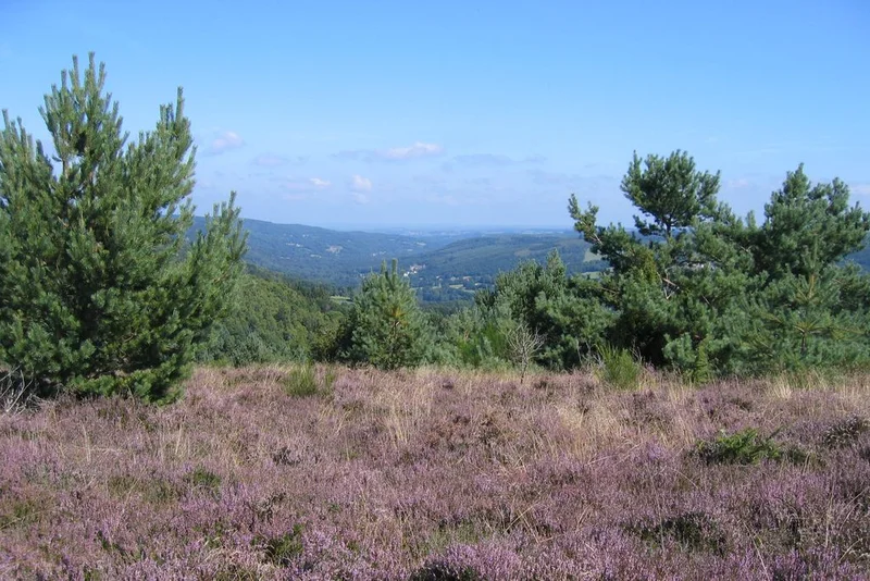Randonnée La Lande du Puy Raynaud — Clairavaux