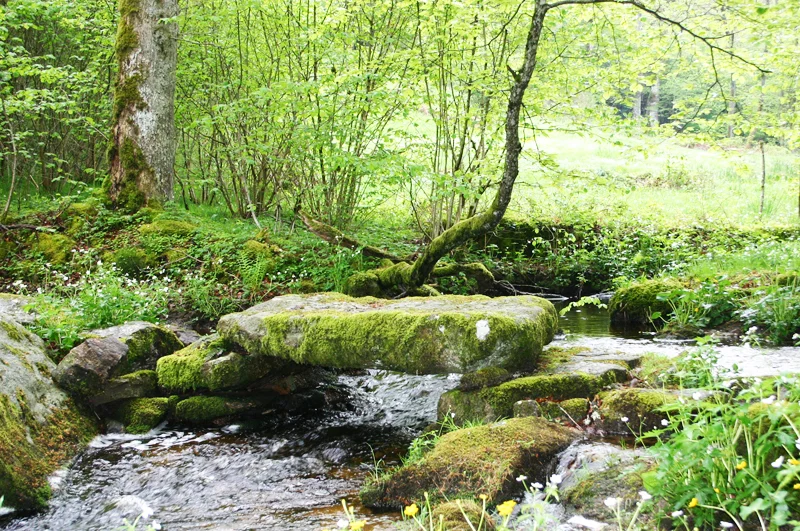 Randonnée Le chemin de l'eau — Faux-la-Montagne