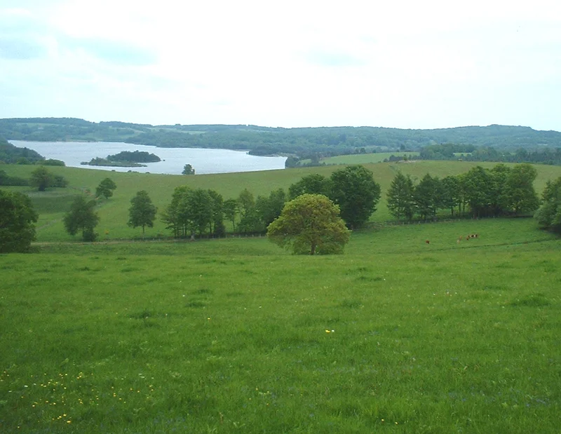 Randonnée Tour du Lac de la Vaud-Gelade — Saint-Marc-à-Loubaud