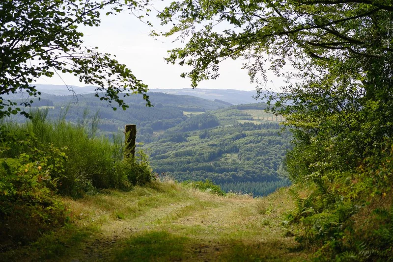 Randonnée Le Mont Cé · Chamberet