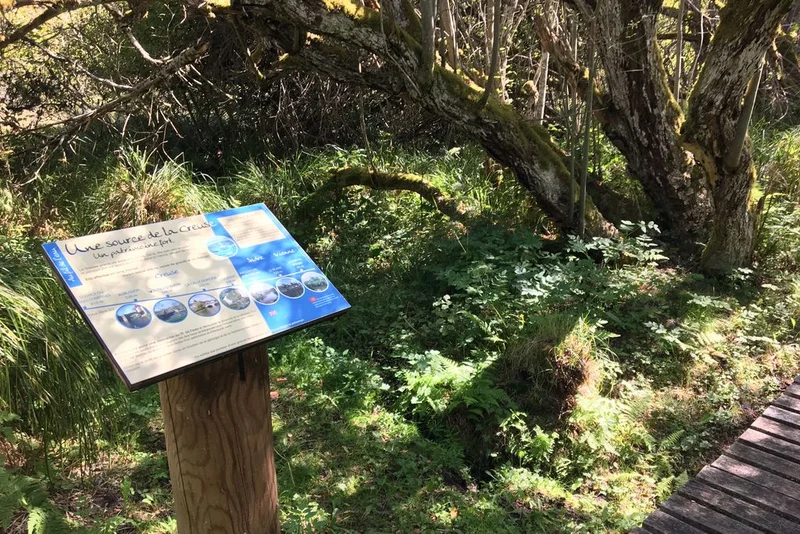 Randonnée Les Sources de la Creuse — Le Mas-d'Artiges