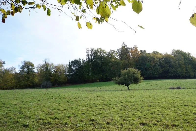Randonnée La Boucle du Parleur — Saint-Martin-Terressus
