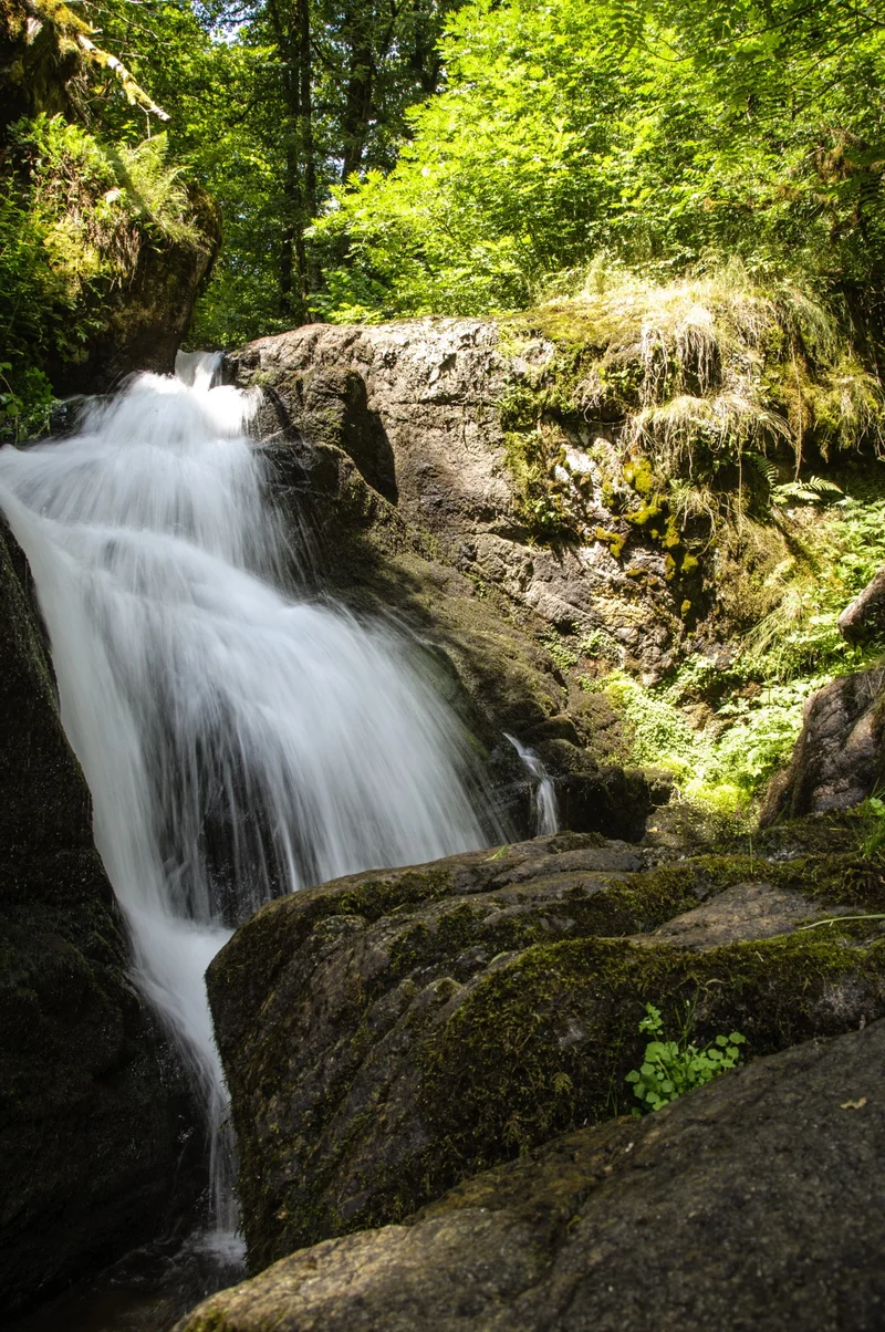 Randonnée Les cascades de la Vigne · Moustier-Ventadour