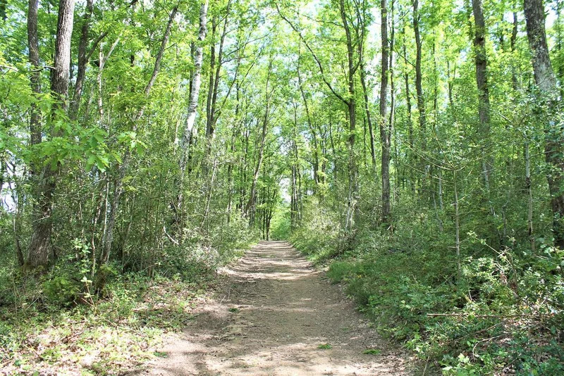 Randonnée Sentier des Blaireaux — Saint-Rémy