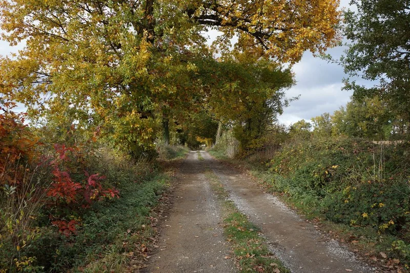 Randonnée Sentier du Menhir — Saint-Paul