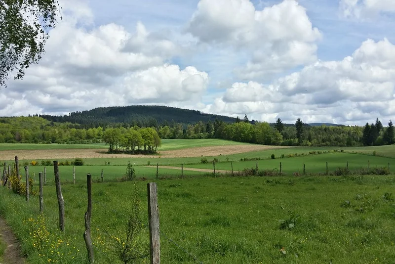 Randonnée Le Circuit des deux clochers — Madranges