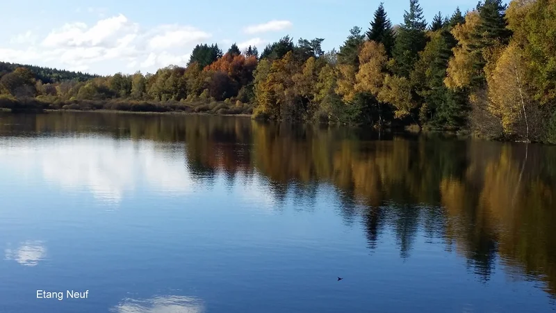 Randonnée Autour des Etangs — Flayat