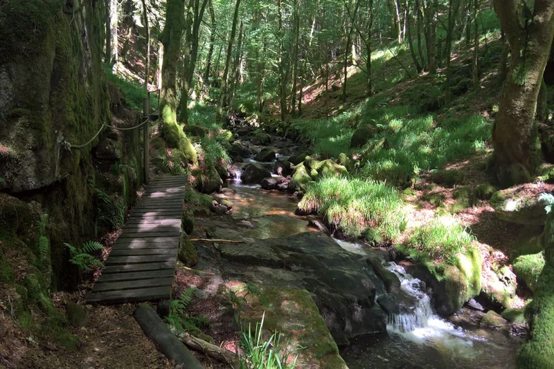 Randonnée La cascade de la Tine — Pradines