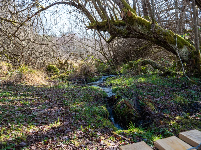 Randonnée Au fil de l’eau — Le Mas-d'Artiges