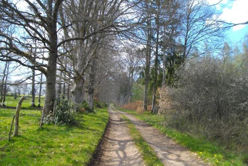 Randonnée Hautefeuille · Saint-Merd-la-Breuille
