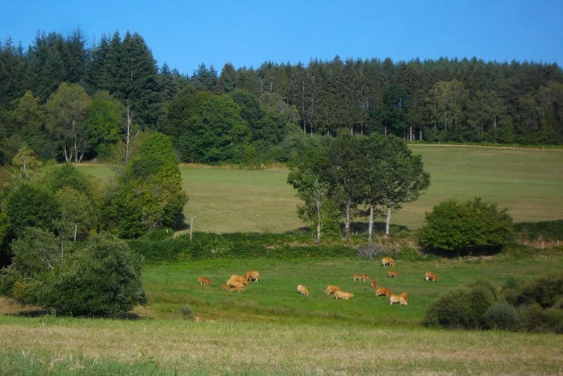 Randonnée Eau, toi tombée du ciel — Saint-Fréjoux