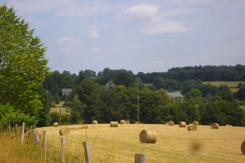 Randonnée Chemin de campagne · Bellechassagne