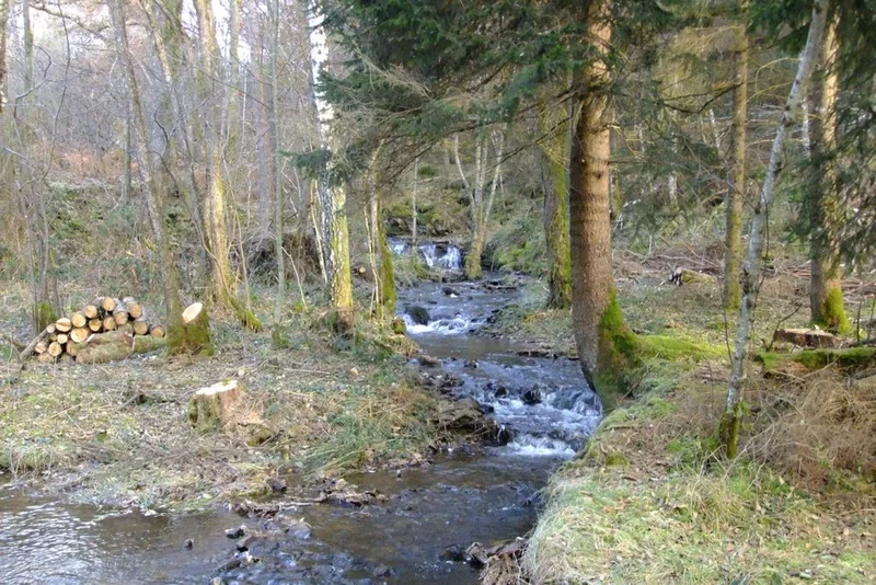 Randonnée Les chemins de la sombre · Lafage-sur-Sombre
