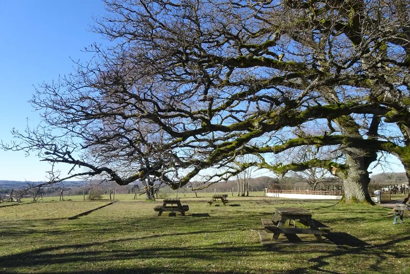 Randonnée Le circuit des Ermites · Veyrières