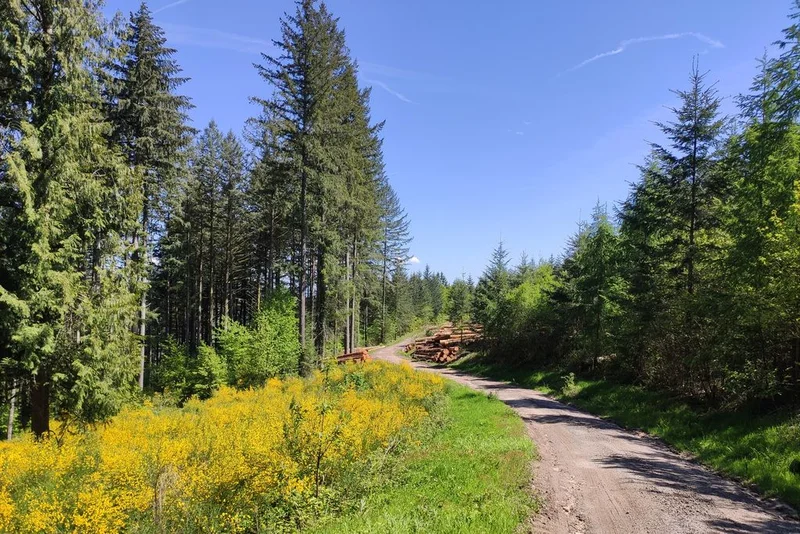 Randonnée Circuit du Mont de Nedde — Nedde