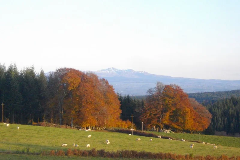 Randonnée Circuit des deux sommets variante moyen — Saint-Oradoux-de-Chirouze
