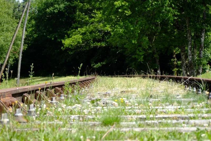 Randonnée Chemins de traverse · Saint-Pardoux-le-Vieux