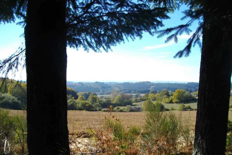 Randonnée Les Templiers — Courteix