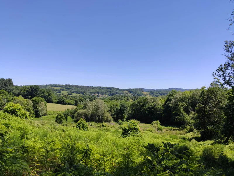 Randonnée Boucle du Mont Larron — Saint-Julien-le-Petit