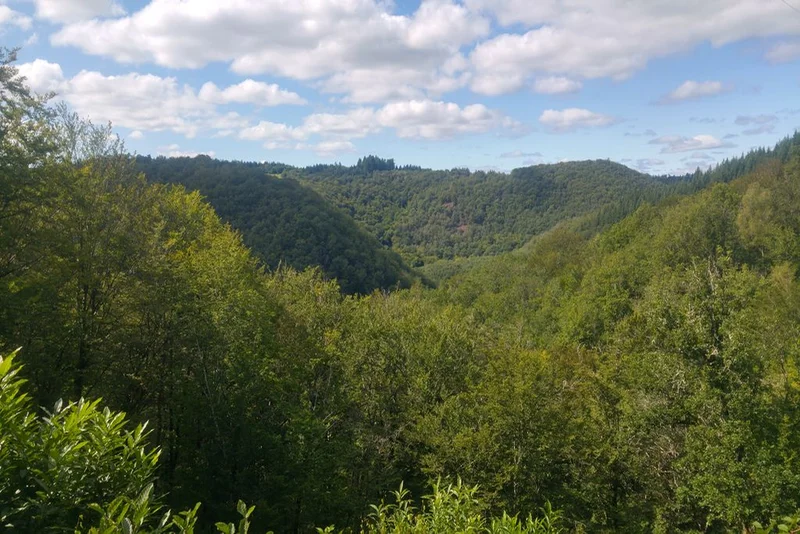 Randonnée Le sentier des charbonniers — Saint-Pantaléon-de-Lapleau