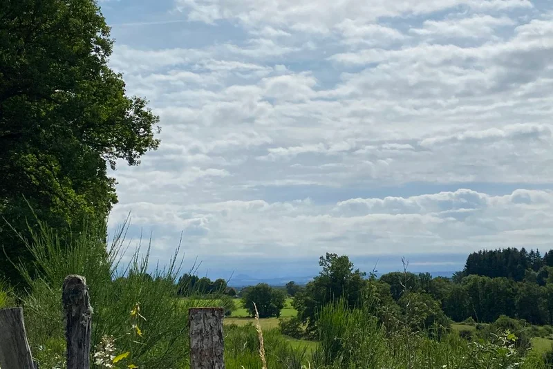 Randonnée Chemin du Bois d’Amont — Flayat