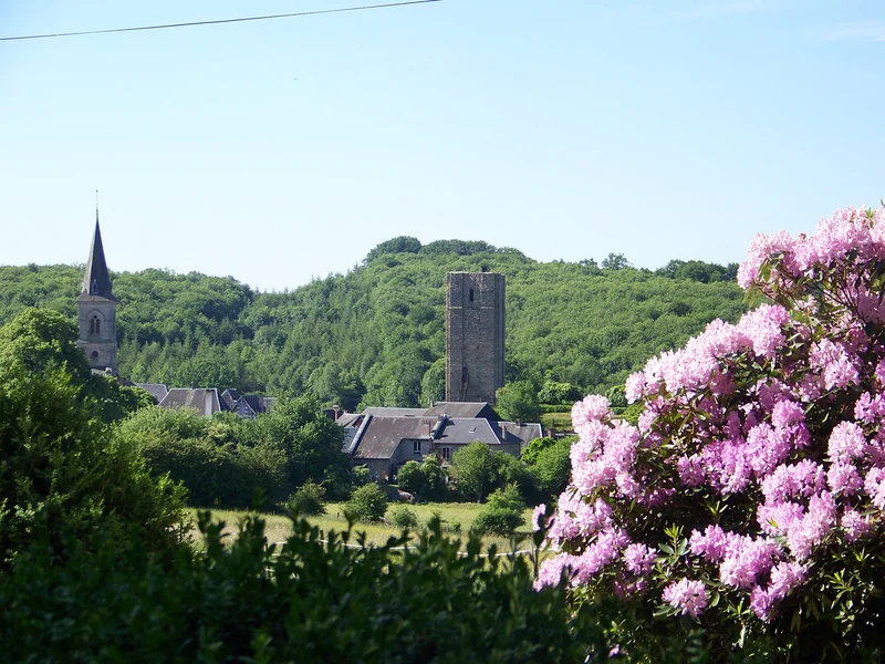 Randonnée Entre Etangs et Châteaux · Salon-la-Tour