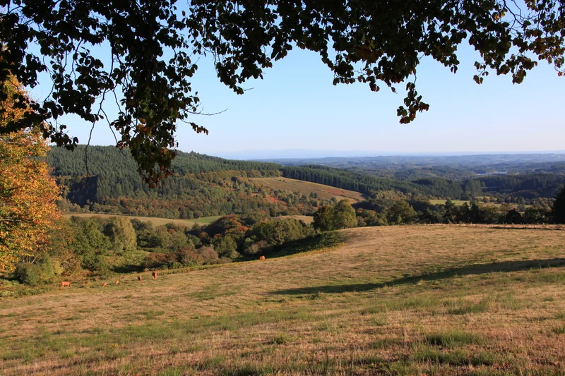 Randonnée Le Toit du Limousin (raccourci) — Meymac