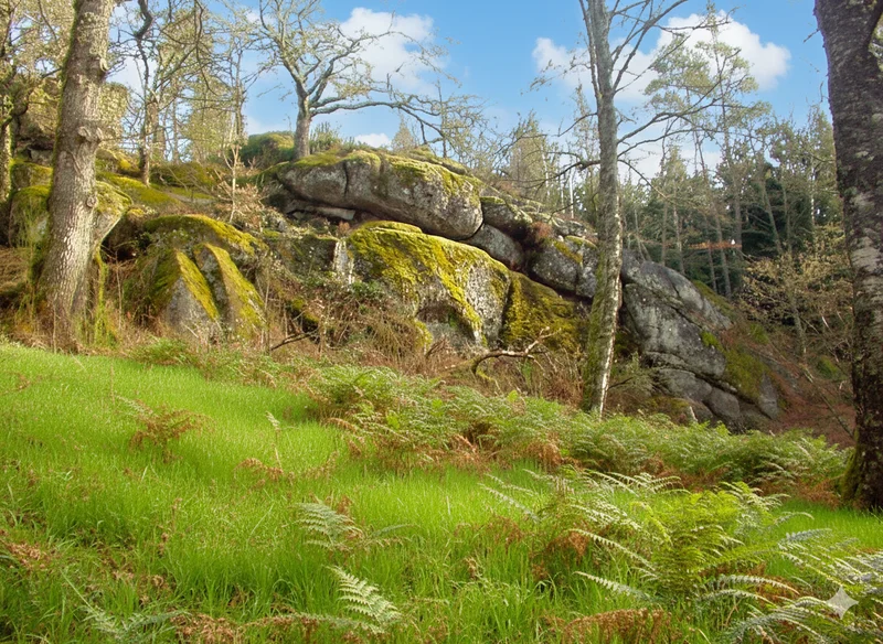 Randonnée Sentier d'interprétation des Pierres Fades — Saint-Marc-à-Loubaud