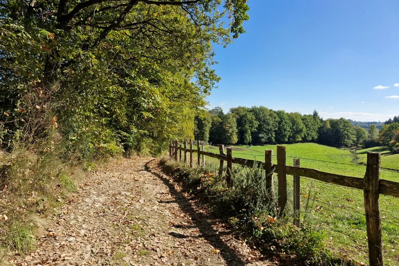 Randonnée La Randonnée de la Forêt — Condat-sur-Ganaveix