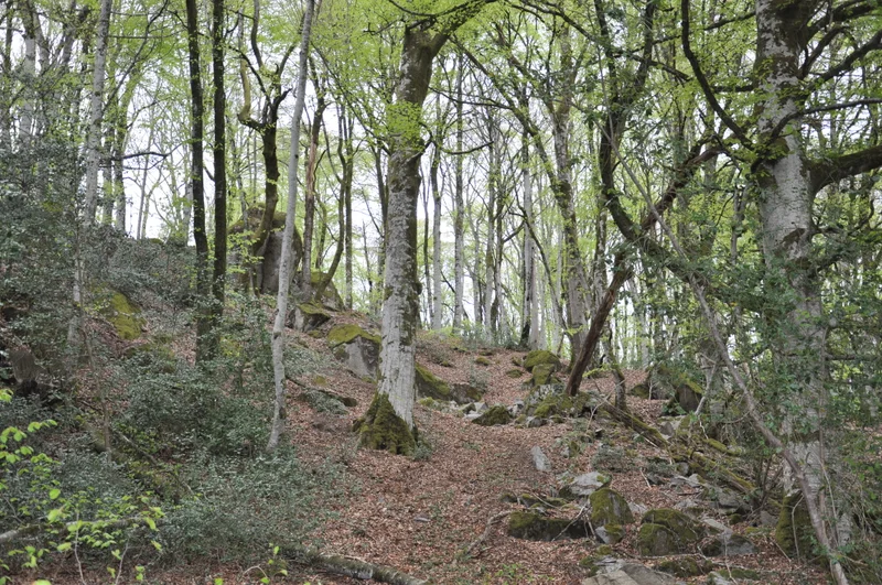 Randonnée Autour des Murauds — Saint-Georges-Nigremont