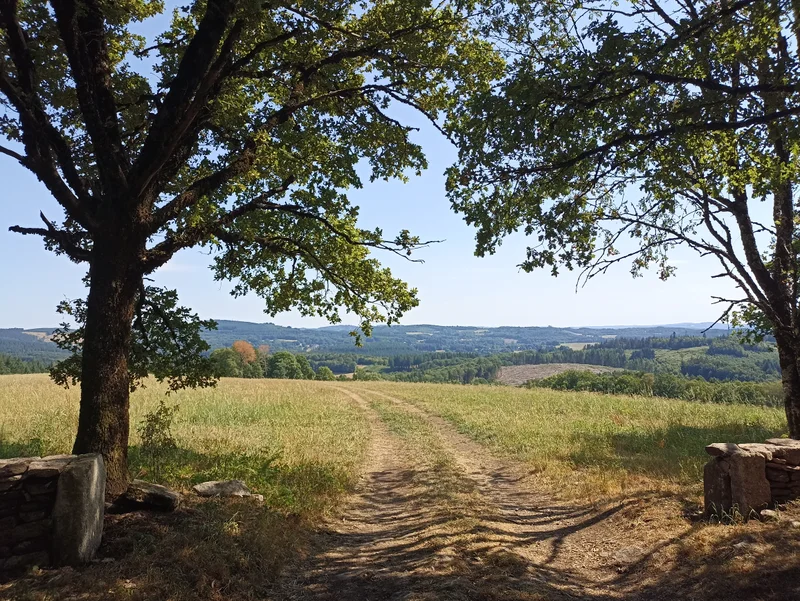Randonnée Le Puy du Mas · Saint-Hilaire-les-Courbes