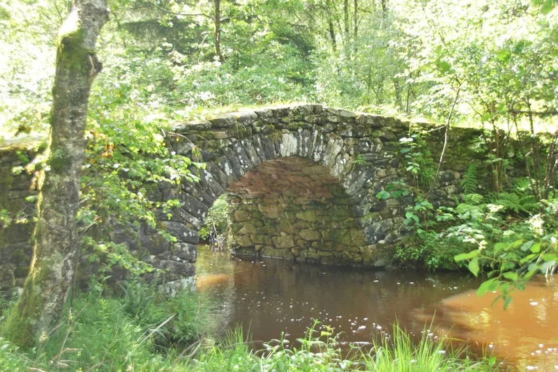 VTT Le pont de Variéras — Bugeat